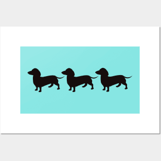 Dachshund, sausage, cute little dogs Posters and Art